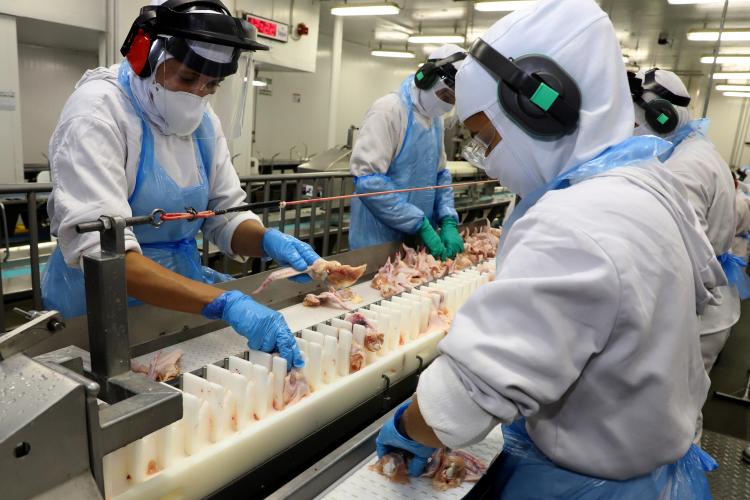 Retomada das exportações para a Malásia reforça liderança do Paraná na produção de frangos