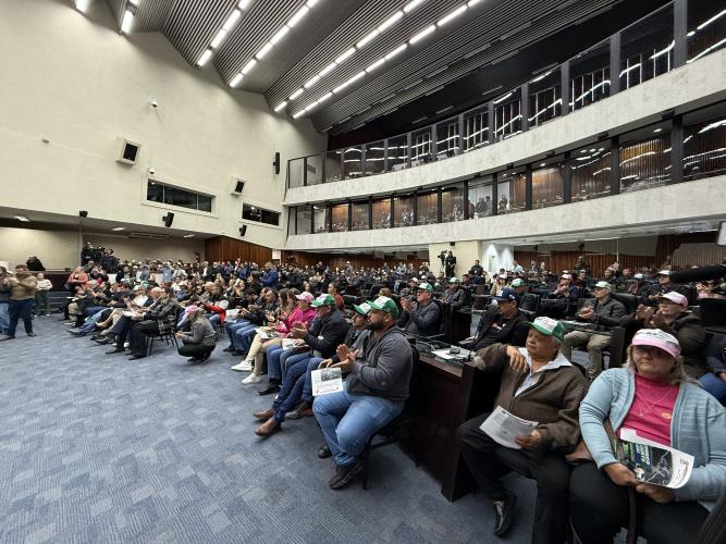 Em audiência na Alep, Marcio Nunes destaca iniciativas para fortalecer produção e consumo de leite no Paraná