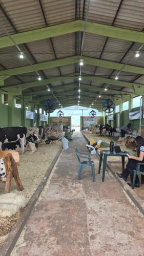 Expovale 2025 reforça o protagonismo do agronegócio no Vale do Ivaí e atrai milhares de visitantes