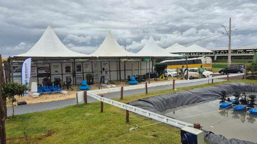 Expovale 2025 reforça o protagonismo do agronegócio no Vale do Ivaí e atrai milhares de visitantes