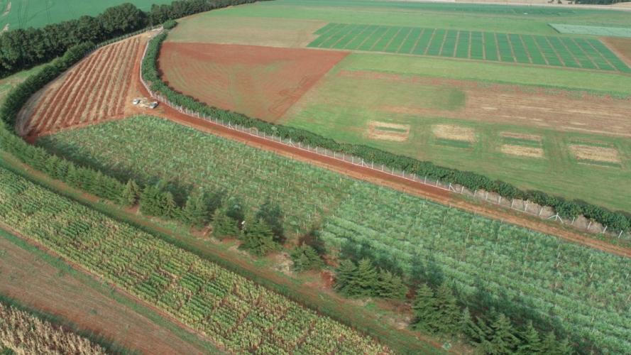 Programa de apoio à viticultura completa seis anos e beneficia mais de 400 produtores familiares