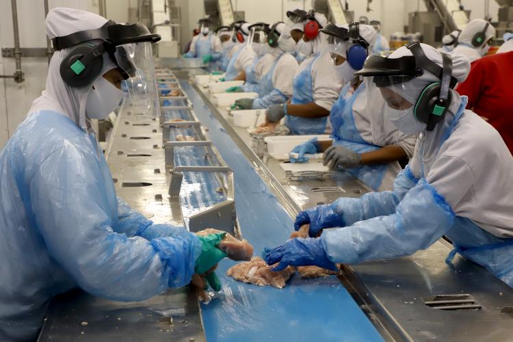 Com liberação da China, Paraná reforça liderança nas exportações de carne de frango