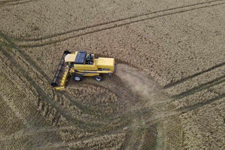 Com quase 47 milhões de toneladas, Paraná registra maior safra de grãos de sua história