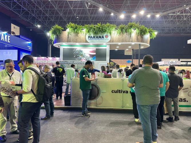 Produtores paranaenses ganham prêmios e abrem novos mercados na Semana Internacional do Café
