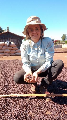 23ª edição do Concurso Café Qualidade Paraná comprova a força da mulher no campo