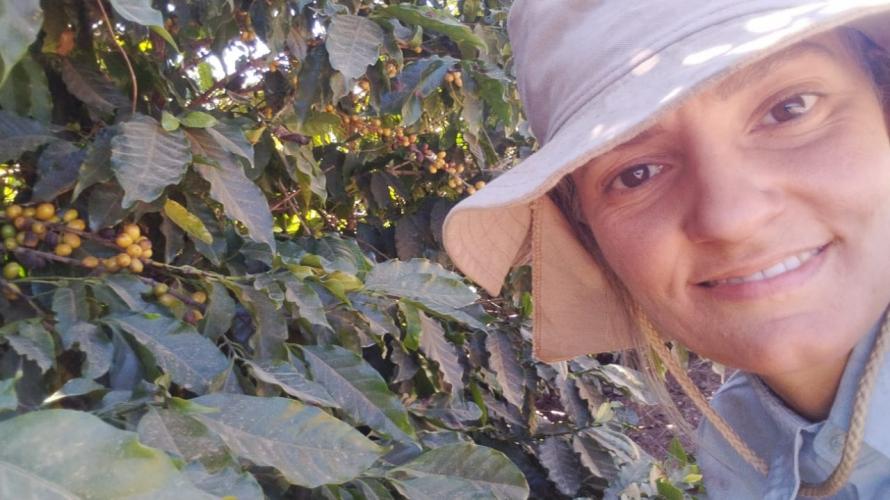 23ª edição do Concurso Café Qualidade Paraná comprova a força da mulher no campo