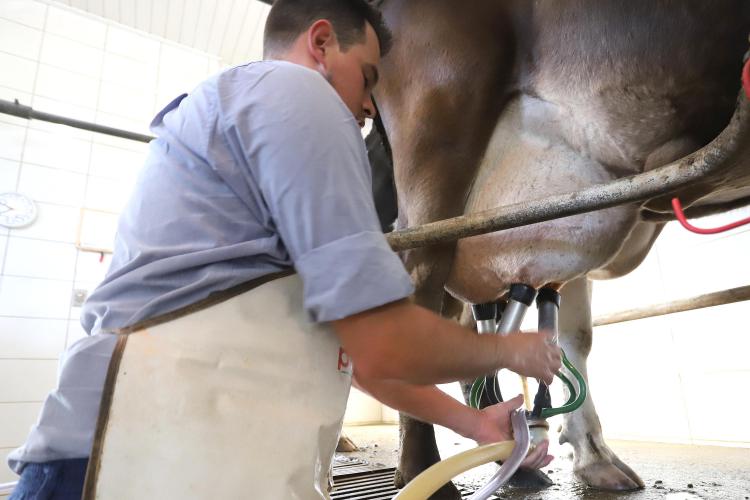 Paraná regulamenta lei que proíbe reconstituição de leite em pó importado