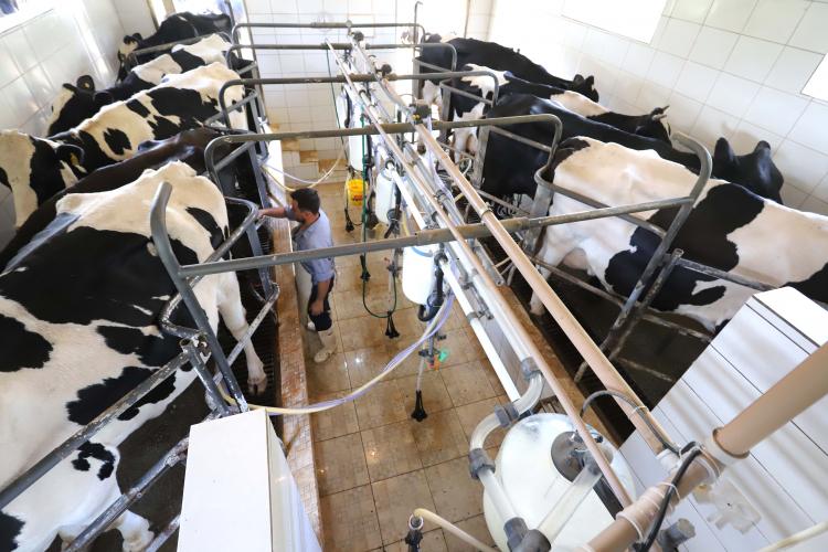 Paraná regulamenta lei que proíbe reconstituição de leite em pó importado