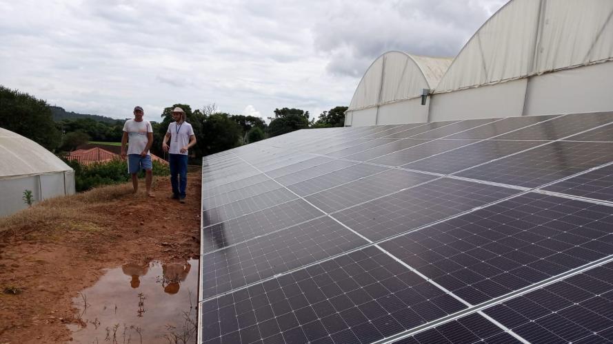 RenovaPR: Geração própria de energia reduz despesas e aumenta competitividade do agro paranaense