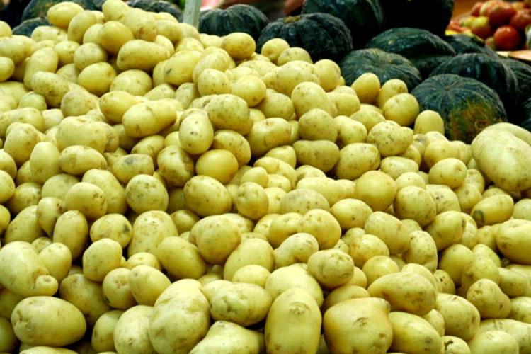 Setor de hortigranjeiros do Paraná começa 2026 com preços mais acessíveis ao consumidor, segundo Deral