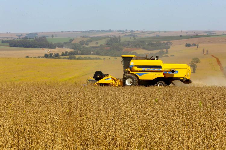 Safra de soja do Paraná se aproxima do recorde e reforça otimismo no campo, aponta Deral