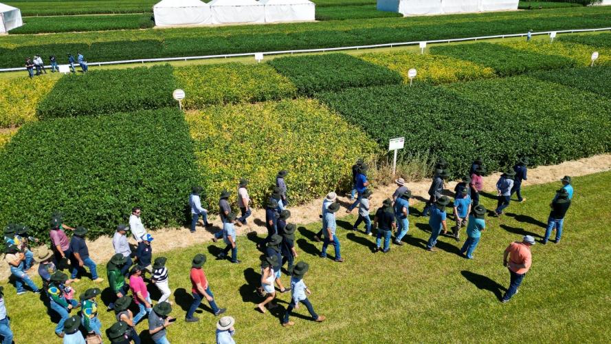 Dia de Campo da Copacol reforça a força do cooperativismo no agronegócio paranaense