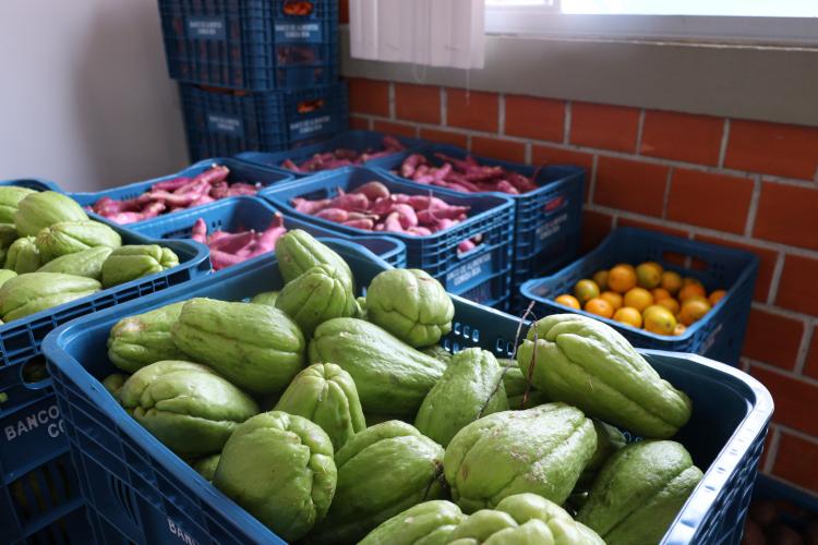 Aparência nem sempre é qualidade: Seab orienta a evitar desperdício de alimentos