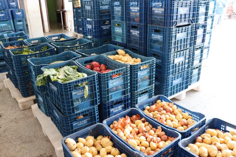 Aparência nem sempre é qualidade: Seab orienta a evitar desperdício de alimentos