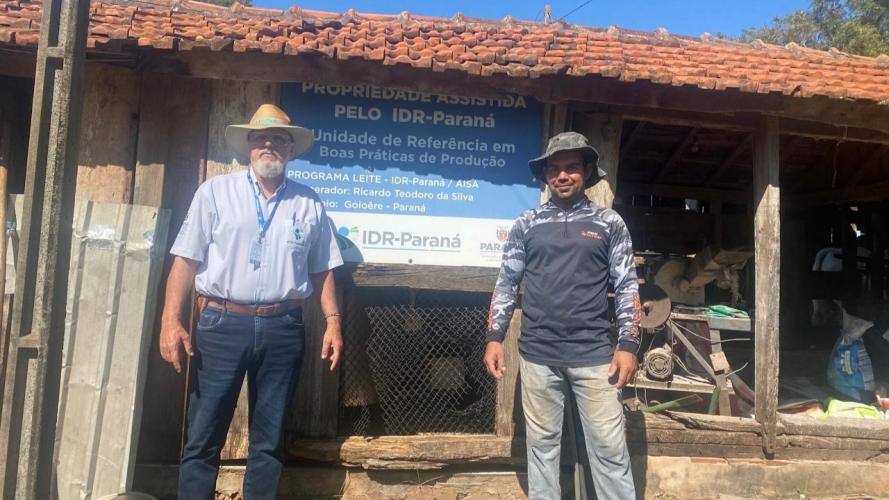 Programa no Paraná fortalece pecuária leiteira e aumenta rentabilidade dos produtores