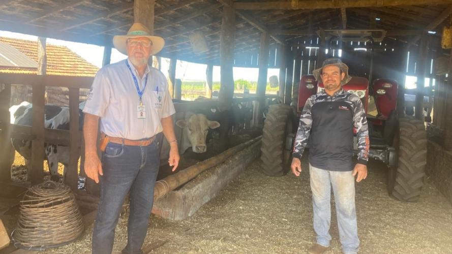 Programa no Paraná fortalece pecuária leiteira e aumenta rentabilidade dos produtores
