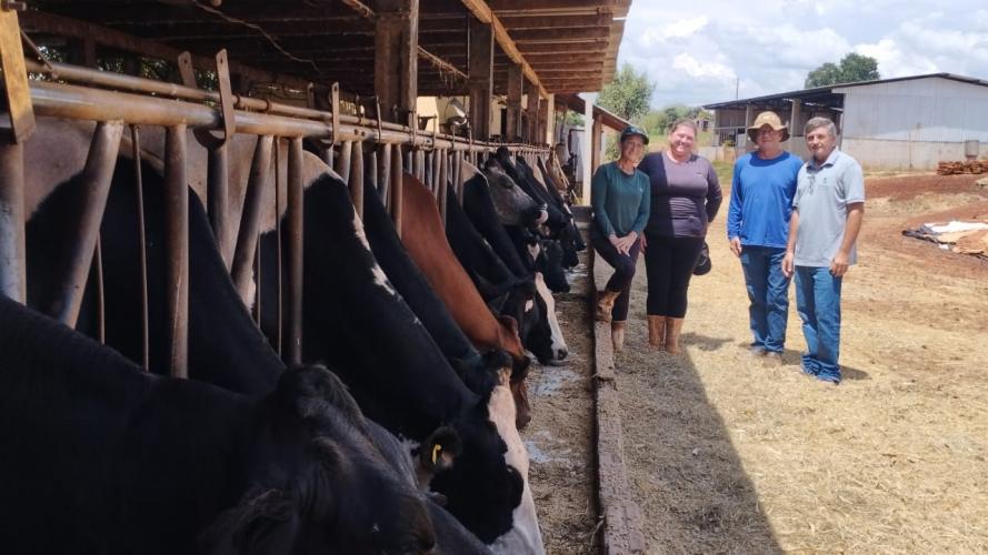 Programa no Paraná fortalece pecuária leiteira e aumenta rentabilidade dos produtores