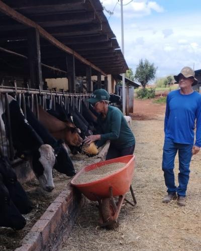 Programa no Paraná fortalece pecuária leiteira e aumenta rentabilidade dos produtores
