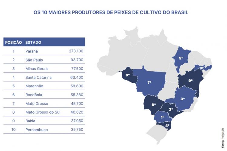 Foto: Anuário Peixe BR
