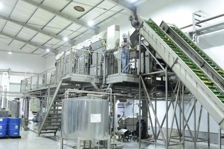 Coopera Paraná encerra fase de análise e seleção com 220 projetos analisados preliminarmente