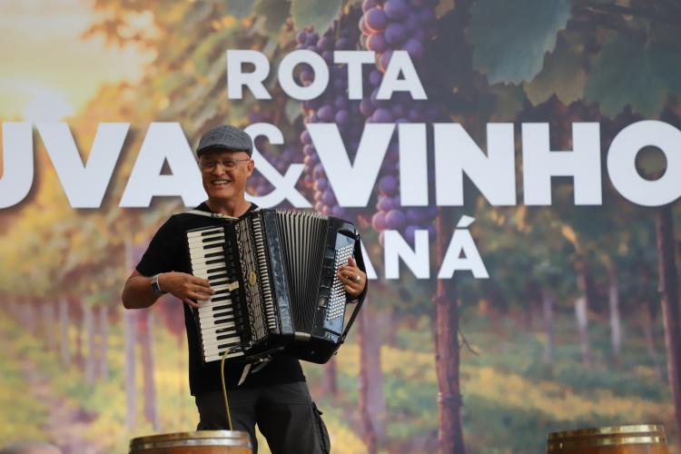 Rota da Uva & Vinho: Paraná lança circuito para impulsionar vitivinucultura e valorizar tradições