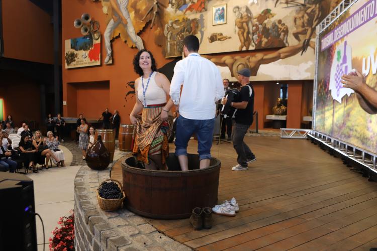 Rota da Uva & Vinho: Paraná lança circuito para impulsionar vitivinucultura e valorizar tradições