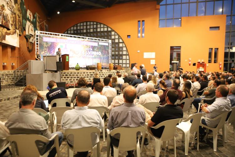 Rota da Uva & Vinho: Paraná lança circuito para impulsionar vitivinucultura e valorizar tradições