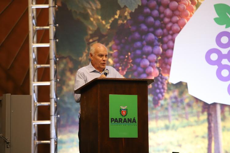 Rota da Uva & Vinho: Paraná lança circuito para impulsionar vitivinucultura e valorizar tradições