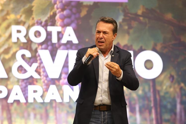 Rota da Uva & Vinho: Paraná lança circuito para impulsionar vitivinucultura e valorizar tradições