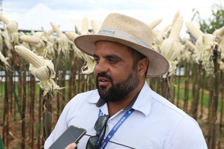 Resistentes e rentáveis: Estado lança cultivares de milho e mandioca no Show Rural