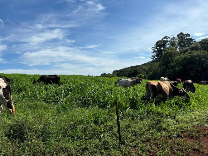 Governo do Paraná impulsiona bacia leiteira de Iretama com entrega de insumos e novas tecnologias