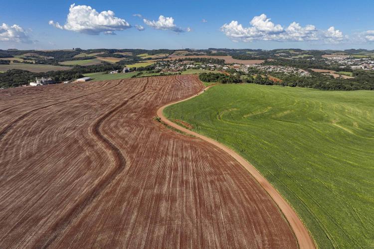 Estado libera R$ 49,9 milhões para pavimentar estradas rurais e ruas urbanas de Roncador