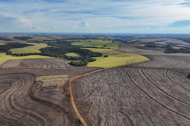 Estado libera R$ 49,9 milhões para pavimentar estradas rurais e ruas urbanas de Roncador