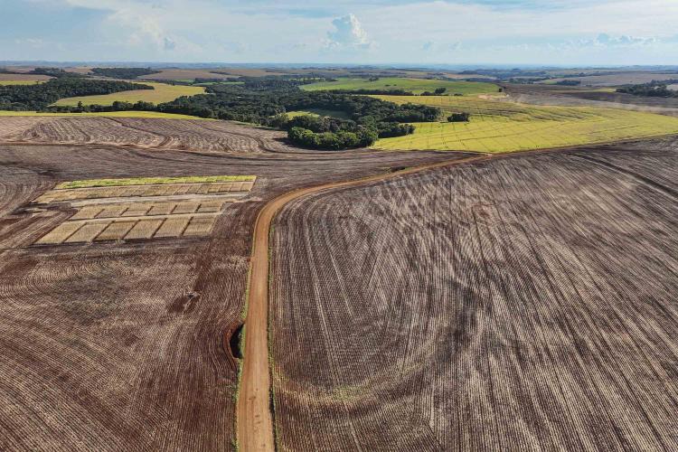 Estado libera R$ 49,9 milhões para pavimentar estradas rurais e ruas urbanas de Roncador