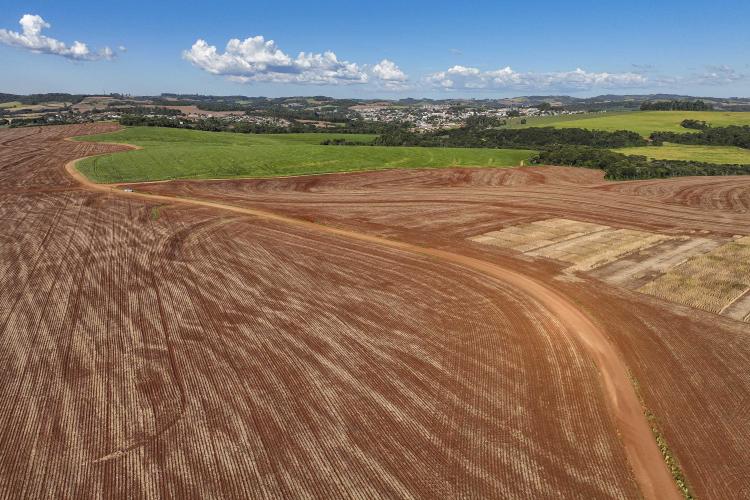 Estado libera R$ 49,9 milhões para pavimentar estradas rurais e ruas urbanas de Roncador
