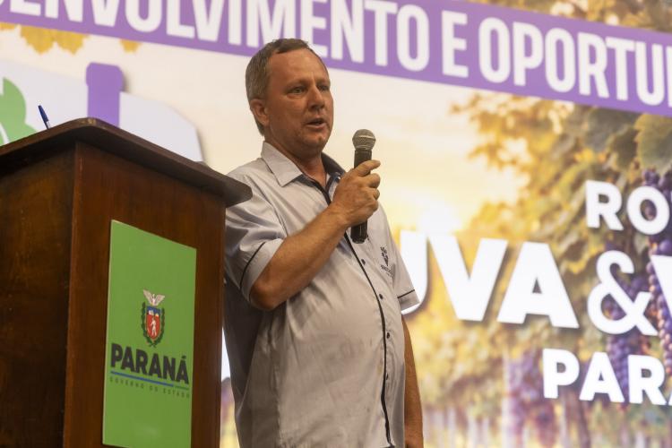Rota da Uva & Vinho: Paraná lança circuito para impulsionar vitivinucultura e valorizar tradições