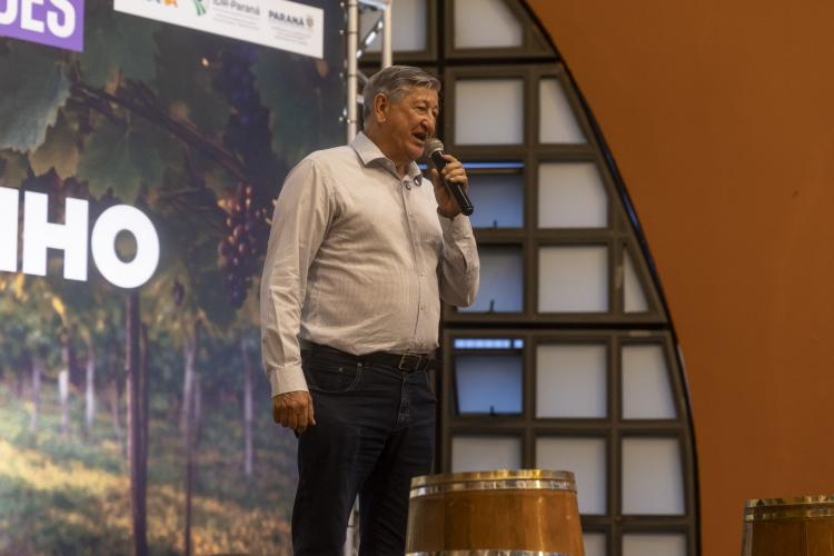 Rota da Uva & Vinho: Paraná lança circuito para impulsionar vitivinucultura e valorizar tradições