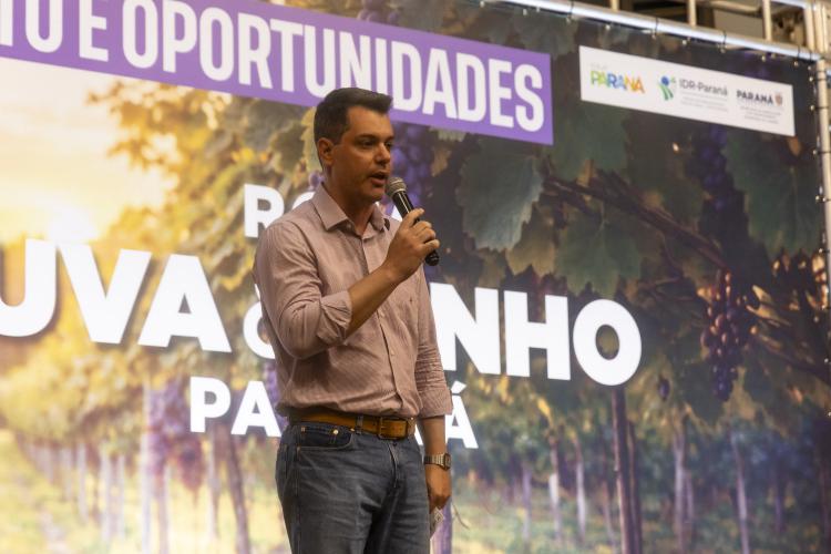 Rota da Uva & Vinho: Paraná lança circuito para impulsionar vitivinucultura e valorizar tradições