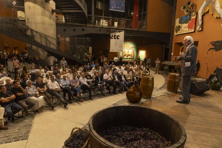 Rota da Uva & Vinho: Paraná lança circuito para impulsionar vitivinucultura e valorizar tradições