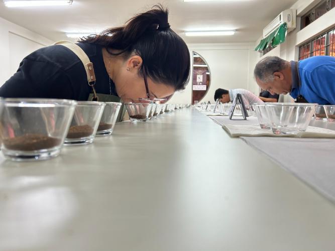 No Show RuraI, IDR-Paraná mostrará o universo do café paranaense em espaço interativo