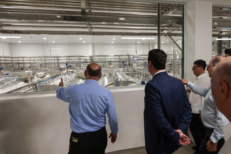Paraná reforça industrialização do leite com uma das maiores fábricas de queijo do País