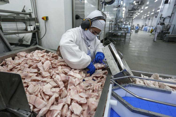 Safra de verão da soja caminha para o fim com 82% já colhida no Paraná