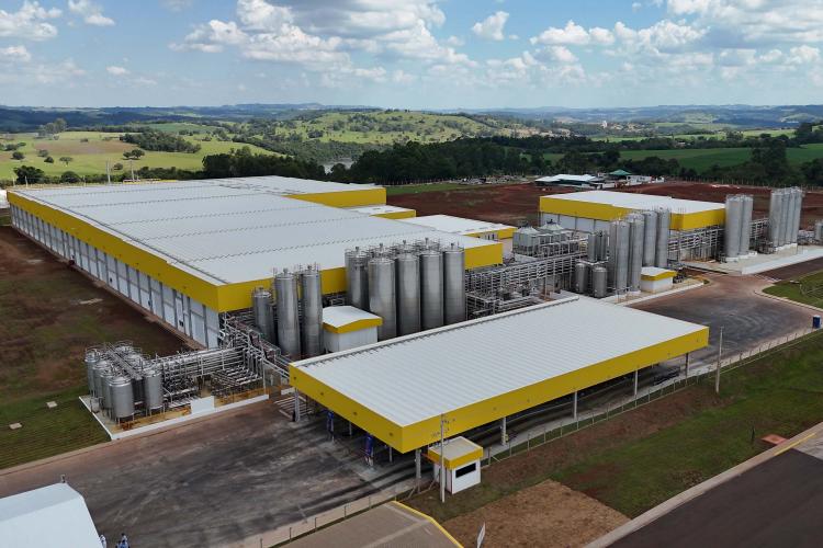 Paraná reforça industrialização do leite com uma das maiores fábricas de queijo do País