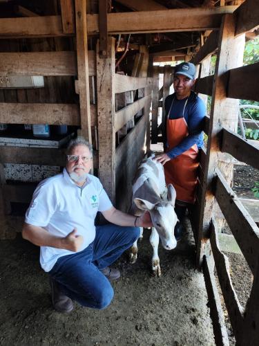 Primeiro bezerro da raça Purunã com 48 kg nasce em Goioerê
