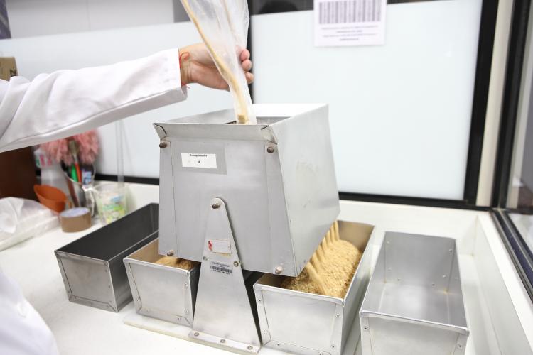 IDR-PR garante qualidade da soja, farelo e milho embarcados no Porto de Paranaguá