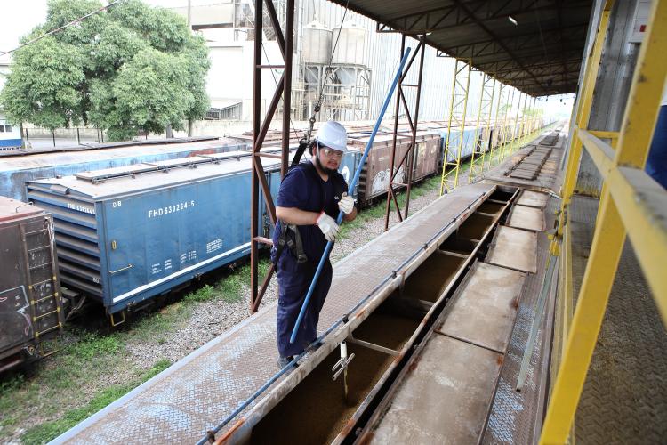 IDR-PR garante qualidade da soja, farelo e milho embarcados no Porto de Paranaguá