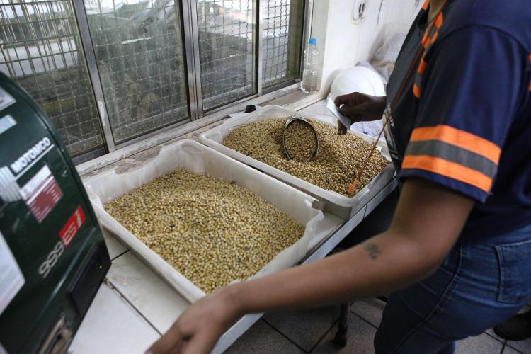 IDR-PR garante qualidade da soja, farelo e milho embarcados no Porto de Paranaguá