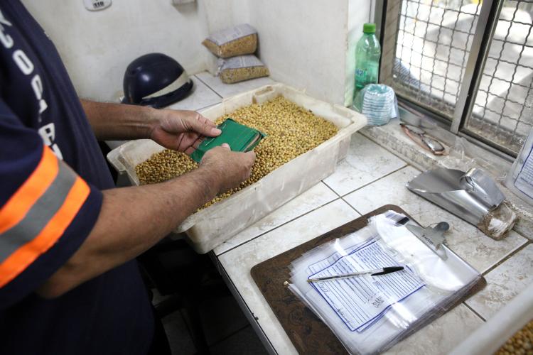 IDR-PR garante qualidade da soja, farelo e milho embarcados no Porto de Paranaguá