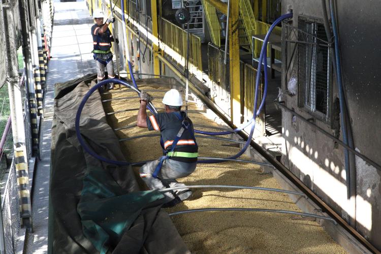 IDR-PR garante qualidade da soja, farelo e milho embarcados no Porto de Paranaguá