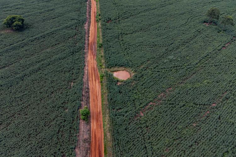 Governador anuncia quase R$ 120 milhões em investimentos para Querência do Norte